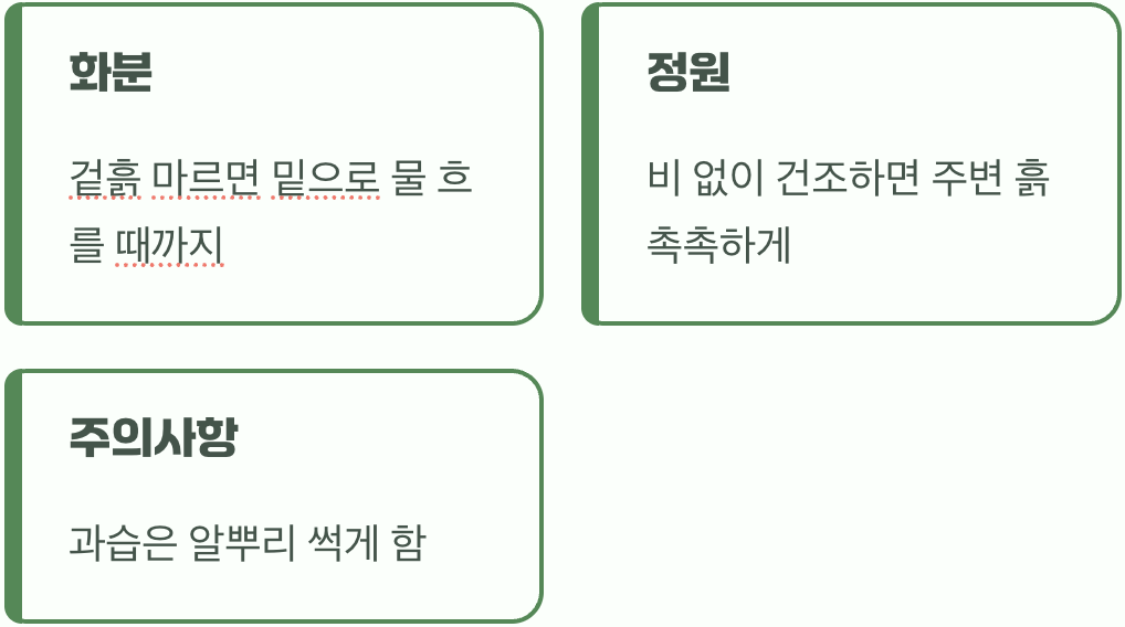 꽃이 피었을 때&amp;#44; 물주기의 정석