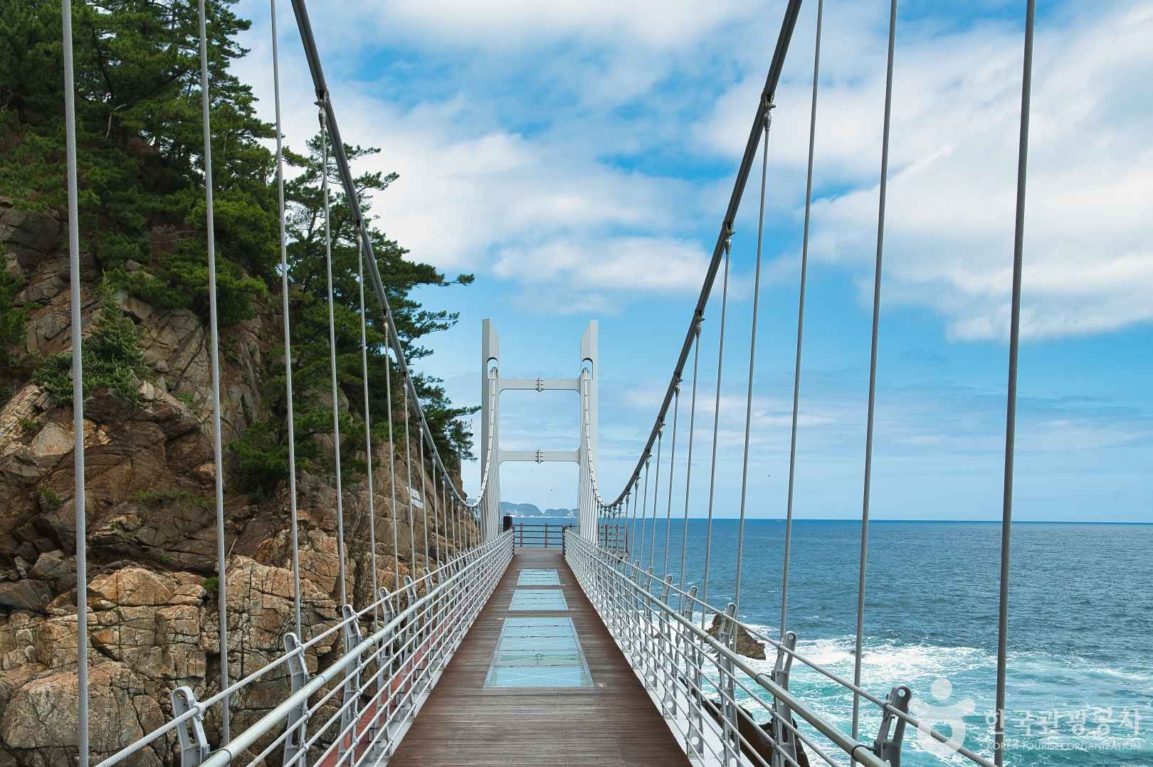 초곡 용굴촛대바위길 출렁다리
