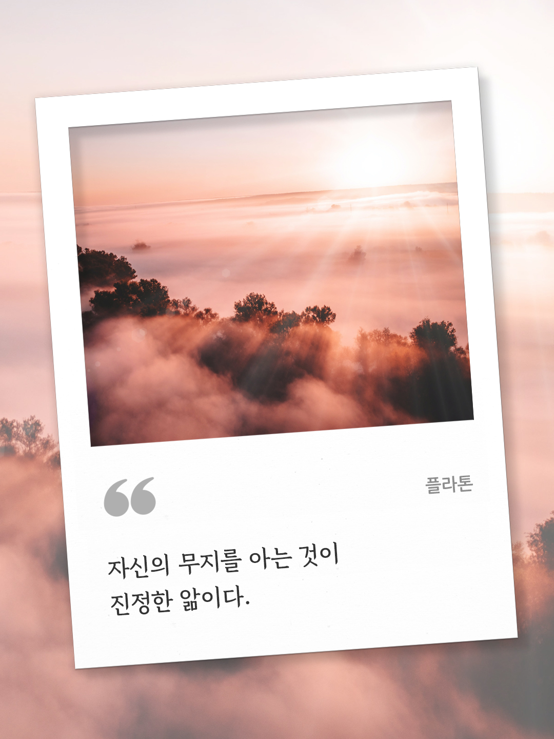 자신의 무지를 아는 것이 진정한 앎이다. (플라톤) by 피어나네 오늘의 명언 좋은 글귀 이미지 다운로드