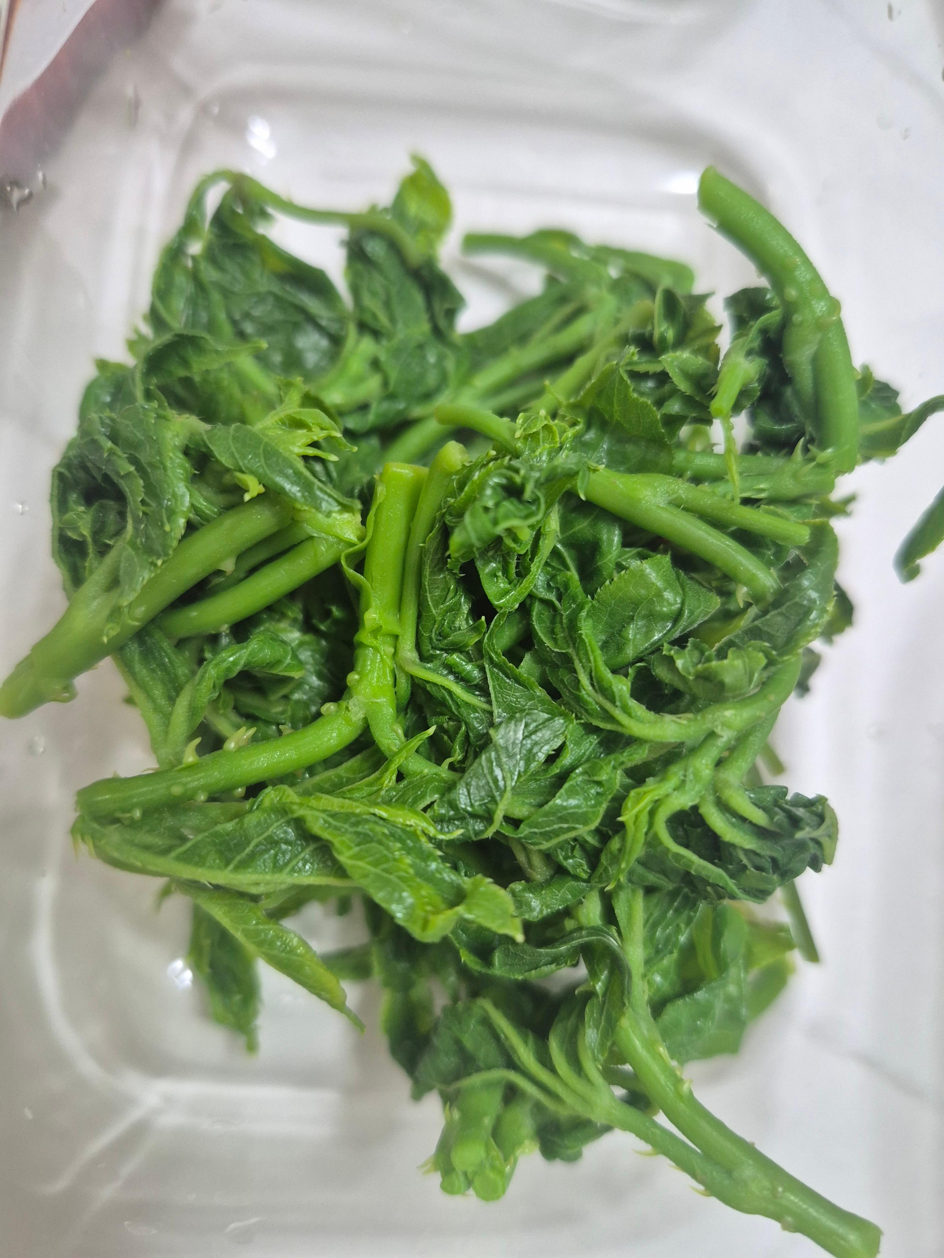 소금넣고데친가시오가피순