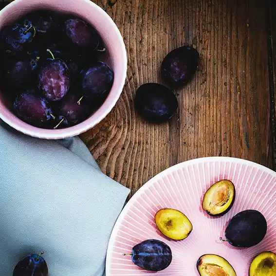 푸룬추출물 배변개선