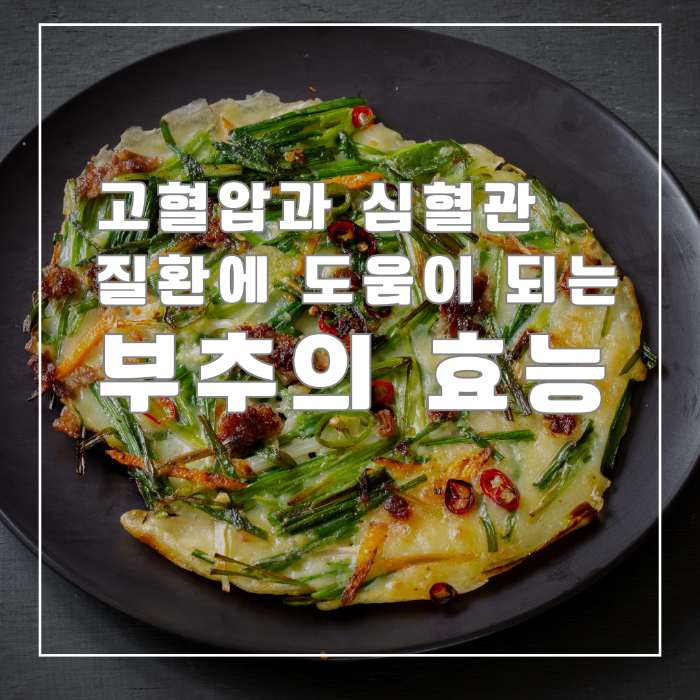 부추의 효능