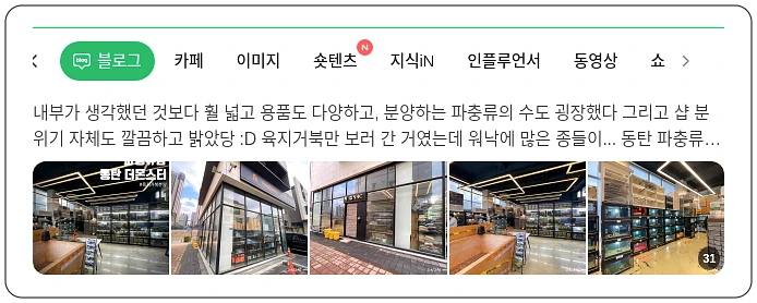 파충류 분양_1_subsection