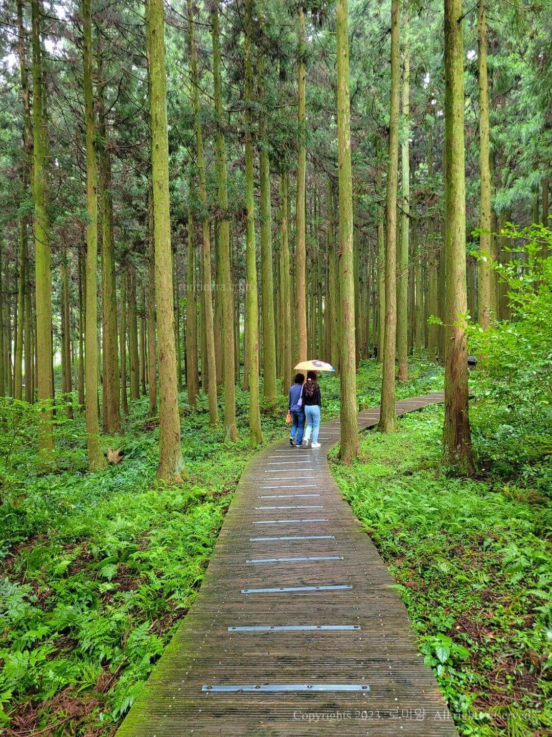 제주여행 2박3일 추천코스