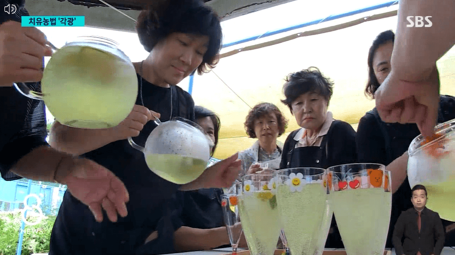 녹색처방전-우울감 낮추기-치유농원-치유농업프로그램-치유농장-치유농원-치유농업시설-치유농업법-장소-시간-가는길-안내