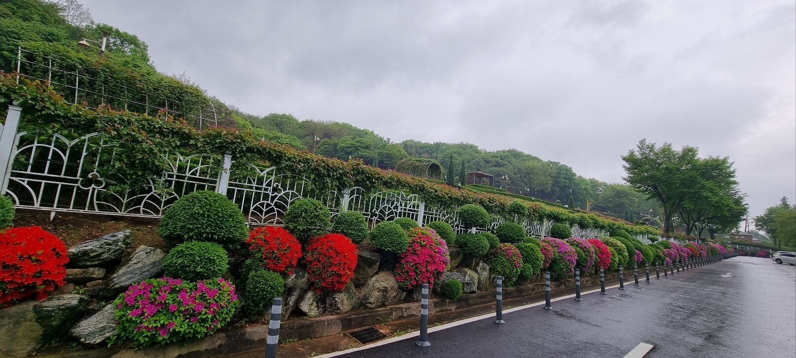 2025 중랑 서울 장미축제 기간 일정 가는길