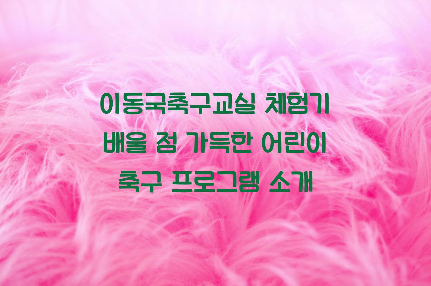 이동국축구교실