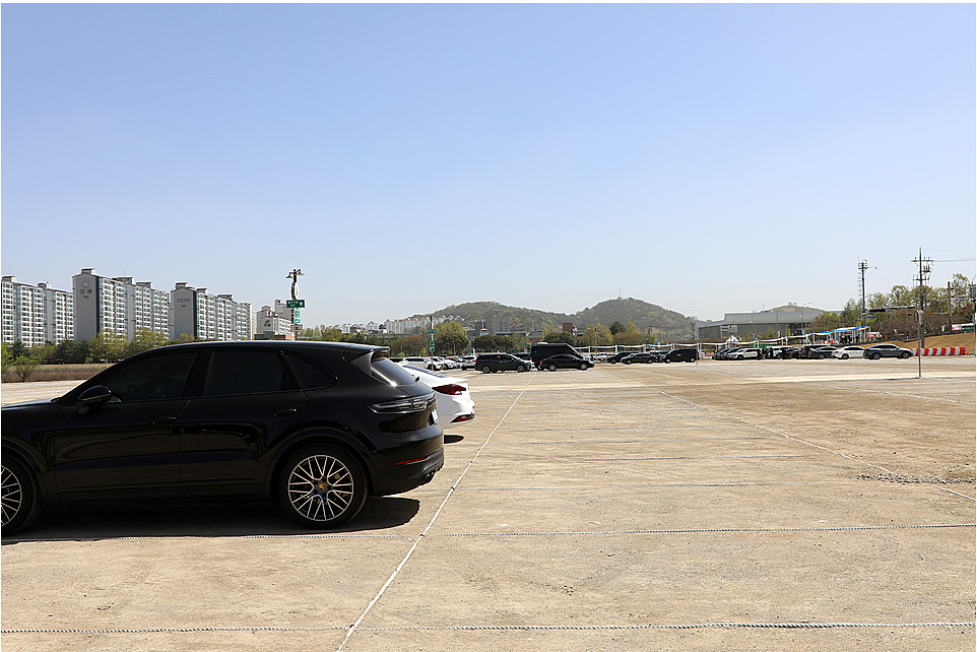 유채꽃 개화시기.유채꽃 명소.2023년안내