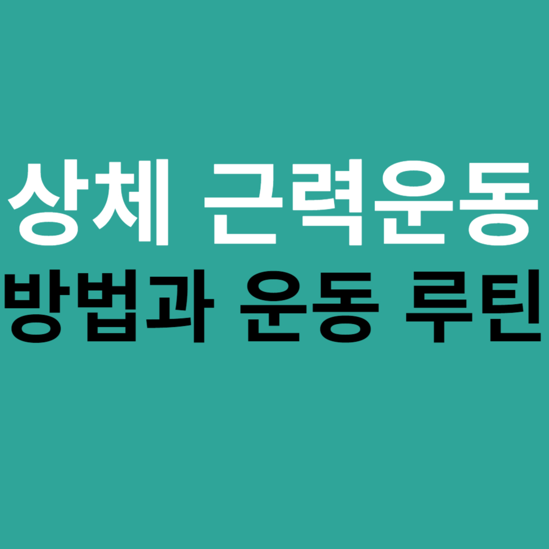상체근력운동방법과 운동루틴