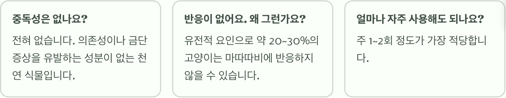 냥이 마약, 마따따비의 모든 것 (효과, 부작용, 사용법)