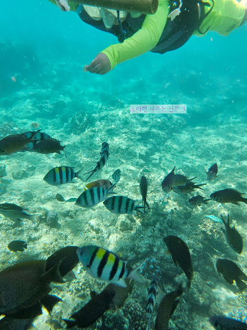 #발리여행 #발리5월날씨 #발리옷차림