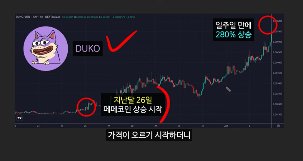 급등할 솔라나 밈코인 캣인어독스월드(MEW), 도지코인, 플로키, 벤도그, 마더, 그레이머, 워젝, 네버, 두코, 봉크