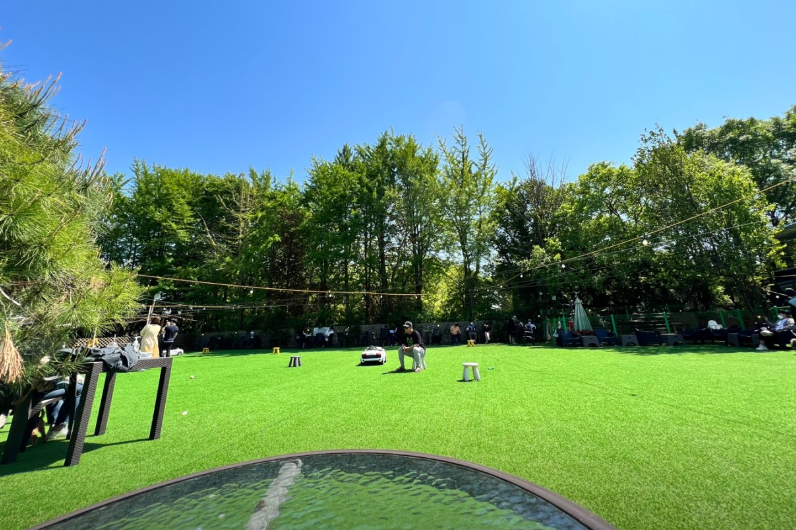  비숲 정보 안내