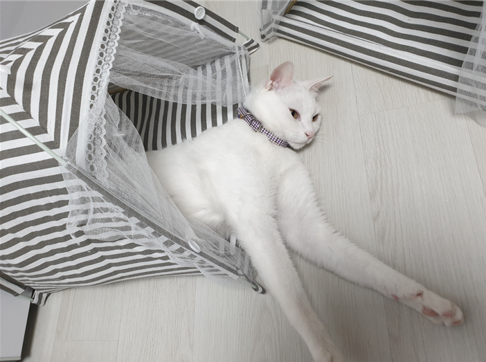 고양이 집사가 꼭 알아야 할 필수템 &amp; 유용 고양이 용품 리스트-하얀색 고양이가 고양이 텐트에 몸을 걸치고 방안에서 뒹굴거리는 평온한 모습