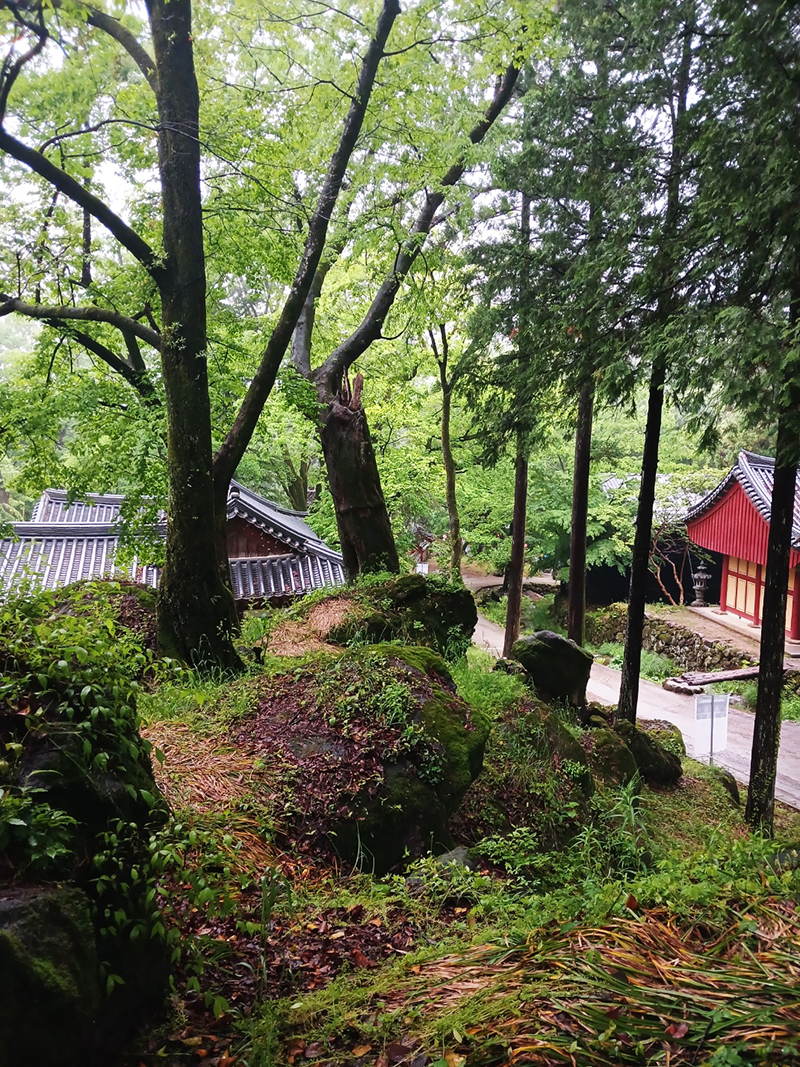 경남 쌍계사 템플스테이 신청 방법