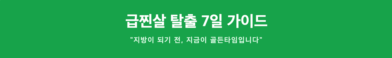 급찐살 탈출 7일 가이드 인포그래픽