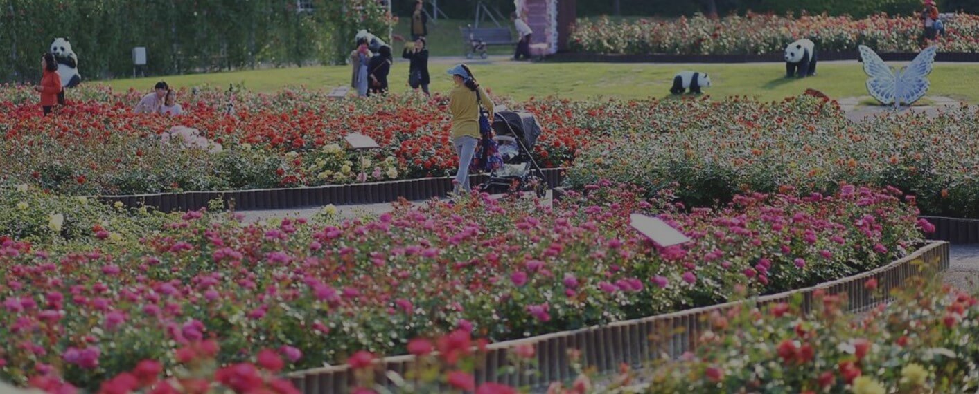 울산대공원장미축제