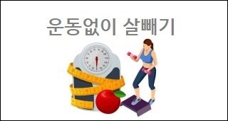 운동없이 살빼기