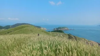 굴업도 여행 가는 방법 배시간표 민박집_5