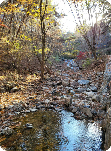 청계산등산코스
