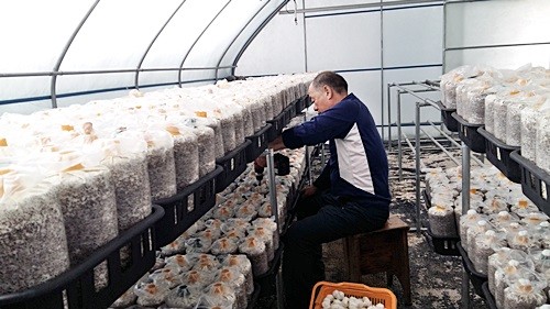 오늘N 2540회 가족이 뭐길래 드림버섯농장 표고버섯, 노루궁뎅이버섯, 녹각영지버섯까지 건강한 먹거리 주문방법