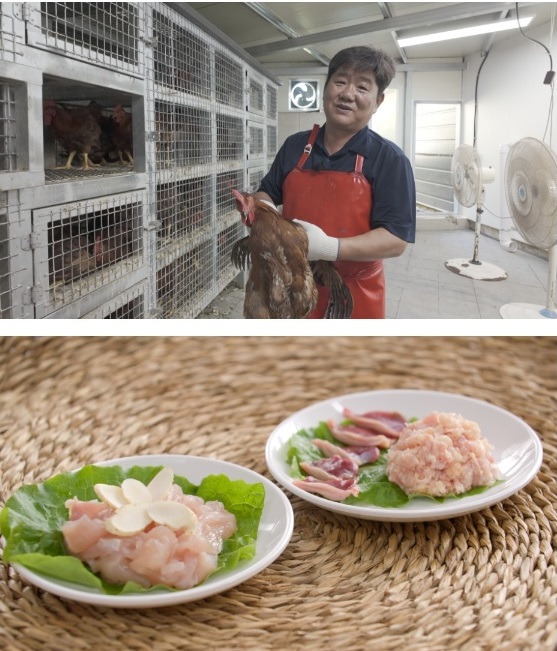 한국인의밥상-해남-닭코스-요리-토종닭-장수통닭-닭육회-안덕준