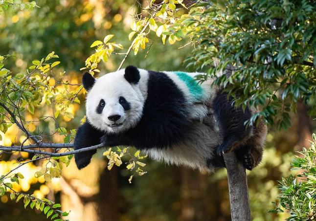 도쿄 아이랑 가볼만한곳 16