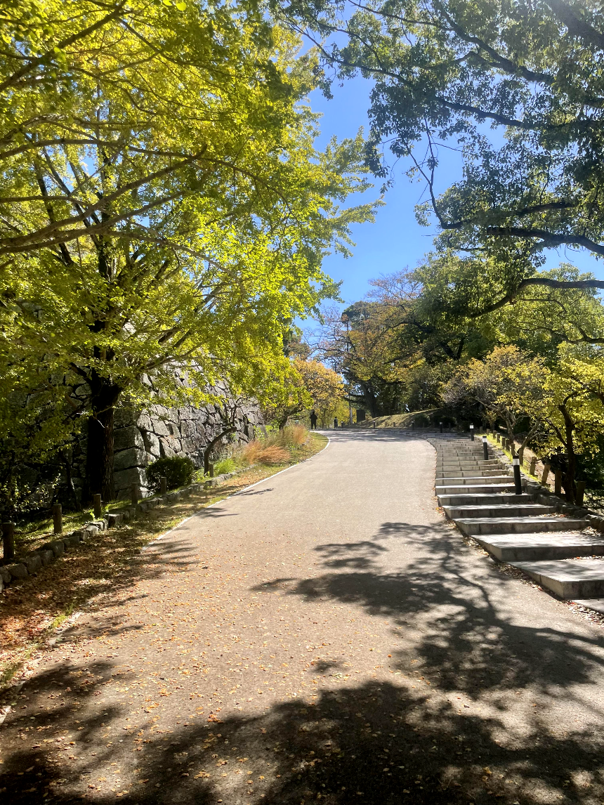 후쿠오카 성터 올라가는 길