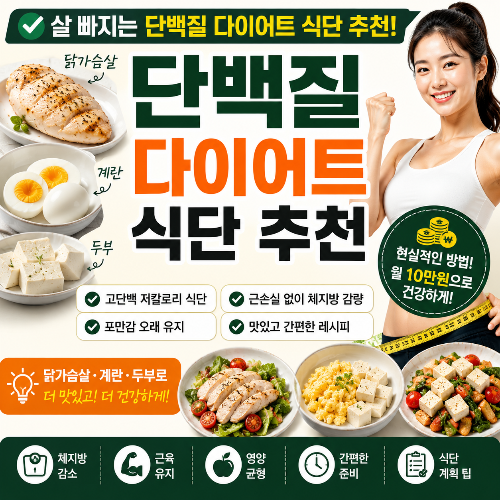 살 빠지는 단백질 다이어트 식단 추천 &amp;#124; 닭가슴살&middot;계란&middot;두부 활용하는 현실적인 방법