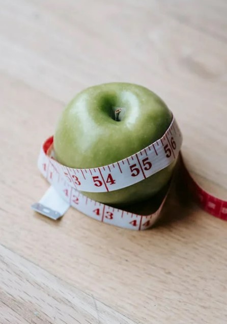 간헐적 단식 vs 저탄고지&amp;#44; 다이어트에 더 효과적인 방법은