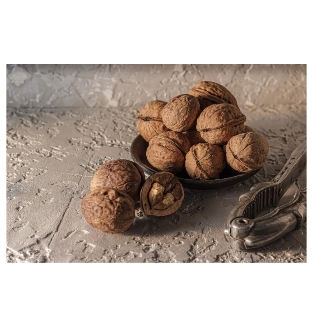 멜라토닌과 관련된 사진입니다.