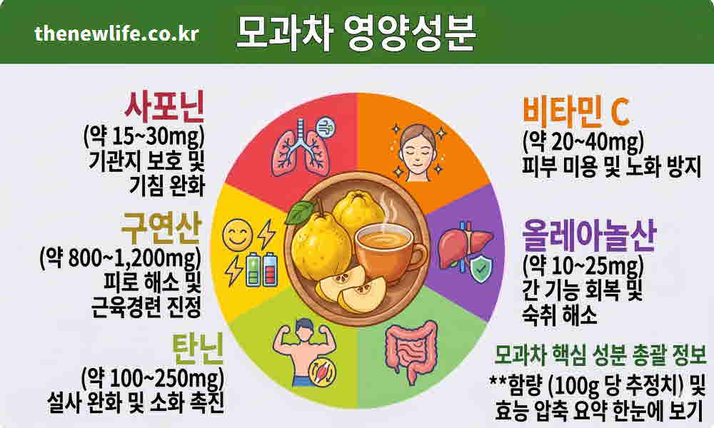 모과차 효능 영양성분