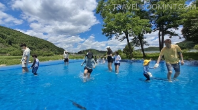 2024 양평메기수염 축제 일정&amp;#44; 예약&amp;#44; 주차장 위치
