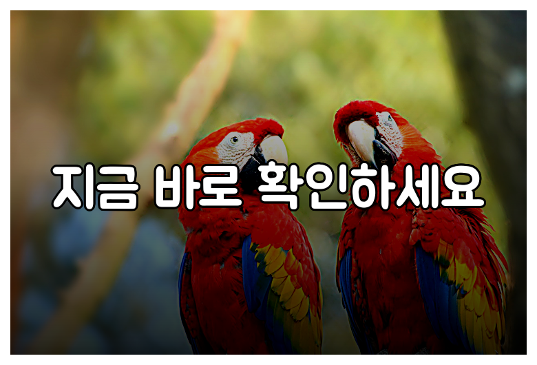 지금 바로 확인하세요
