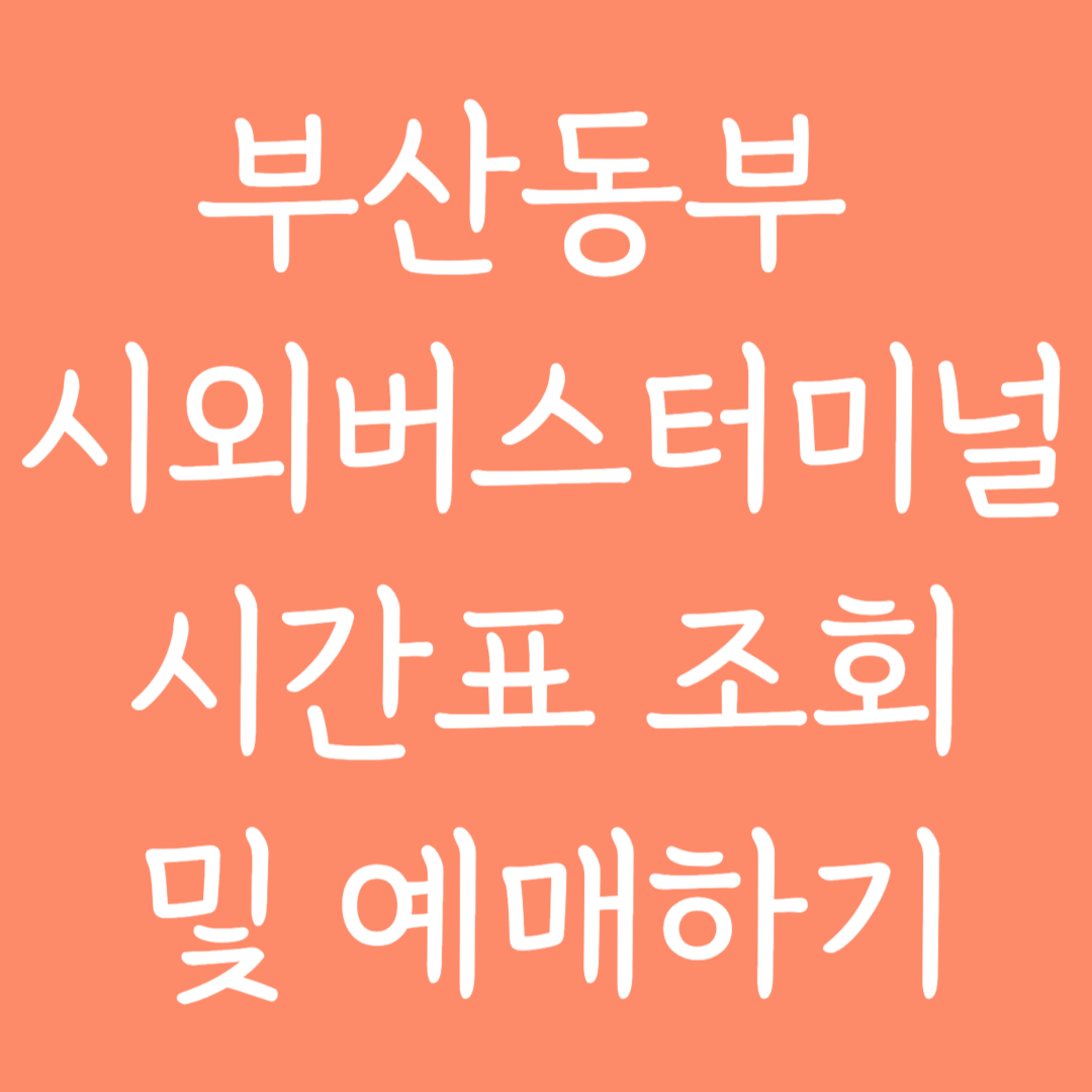 부산동부 시외버스터미널 시간표조회 및 예매하기