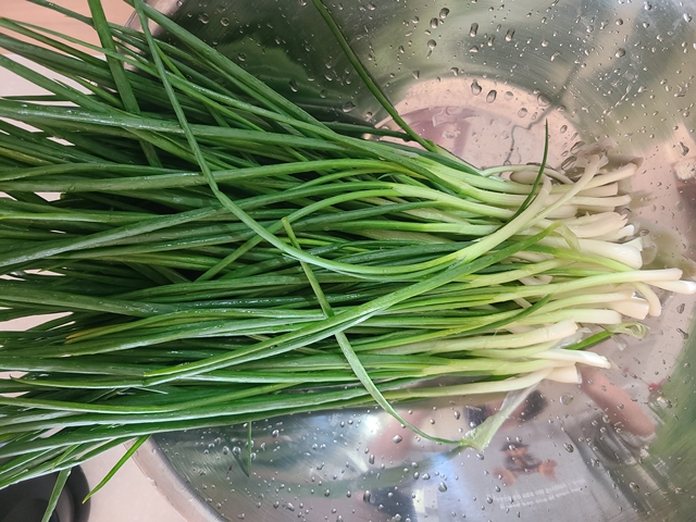 깨끗히 씻은 쪽파