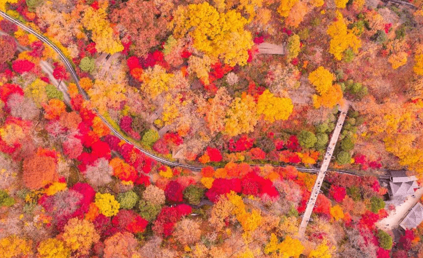 화담숲 가을 단풍 축제