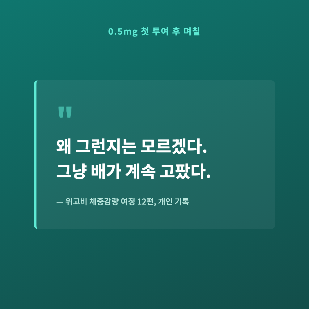 위고비 0.5mg 첫 투여 직후 심해진 허기짐과 몸 상태 변화를 손으로 적어둔 개인 다이어트 기록 메모
