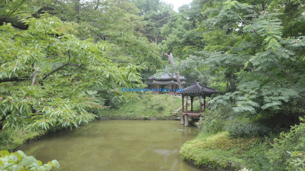 창덕궁 후원 관람지와 관람정(뒤로 보이는 것은 존덕정)