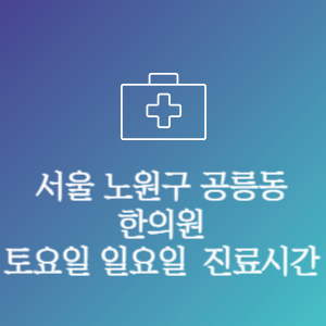 서울 노원구 공릉동 한의원 주말 토요일 일요일 문여는 병원 진료시간