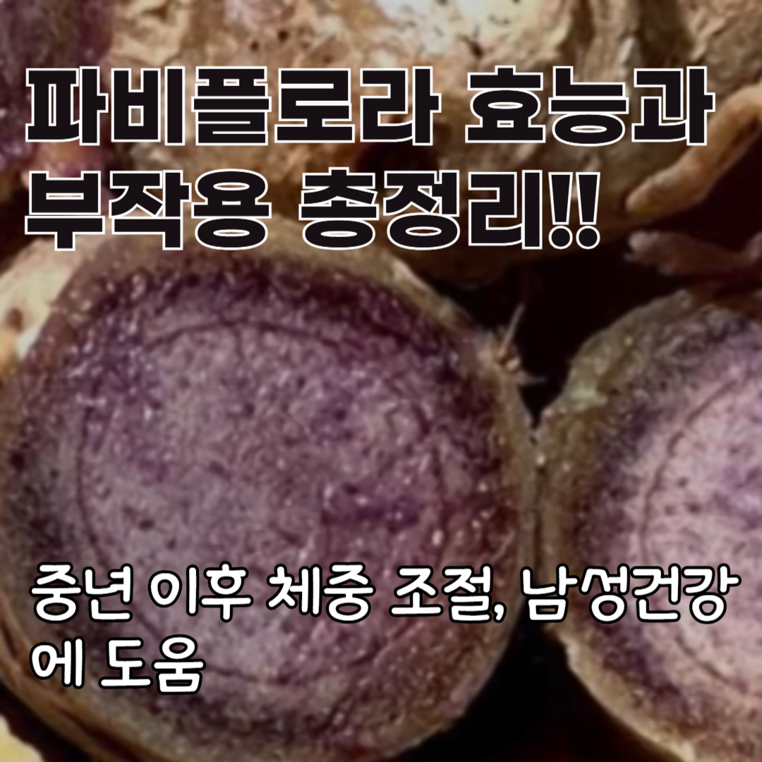 파비플로라