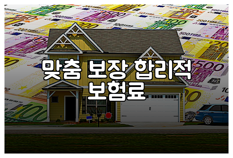 맞춤 보장 합리적 보험료