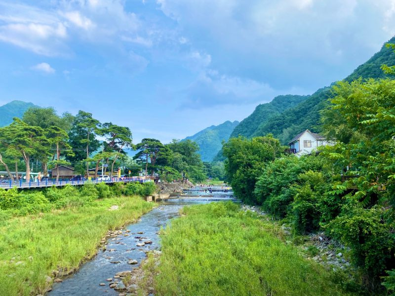 남천계곡