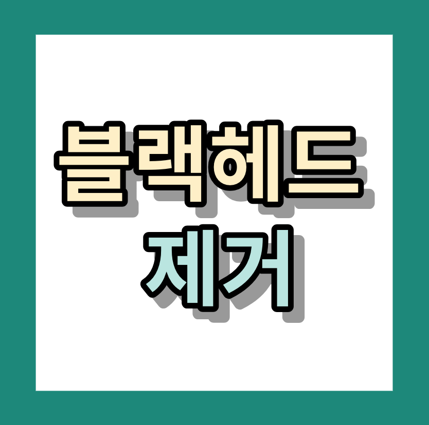 블랙헤드제거 <코블랙헤드제거방법>