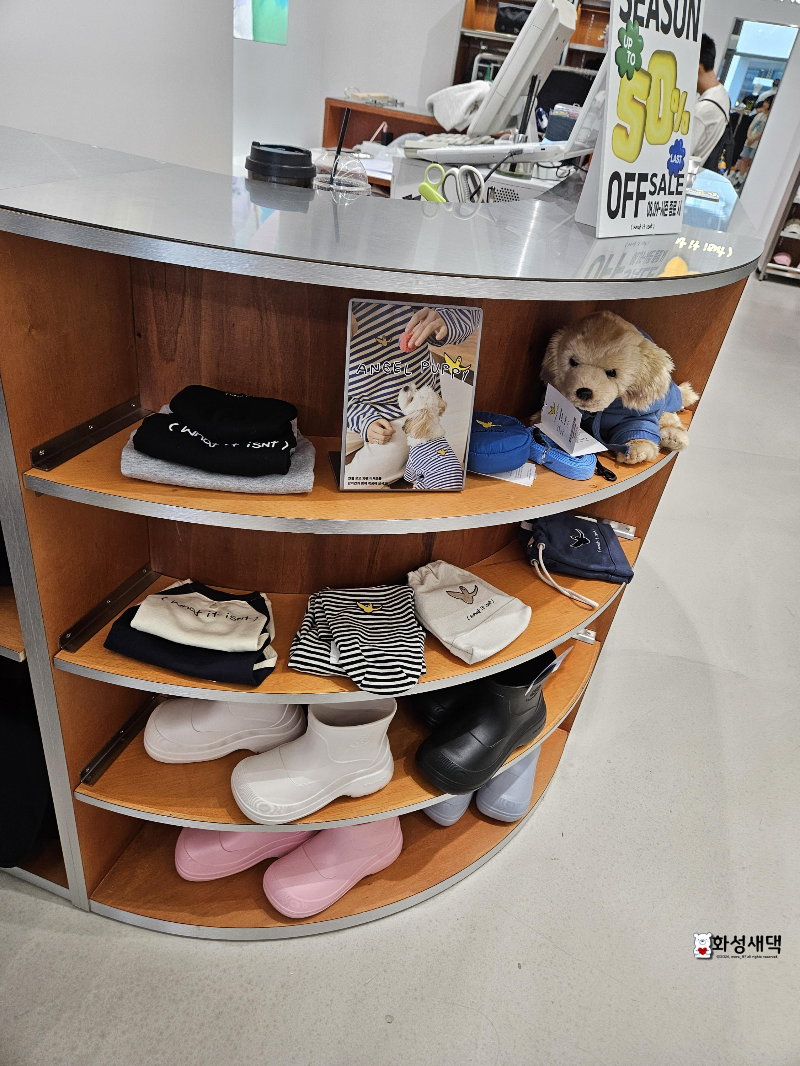 와릿이즌-와키윌리