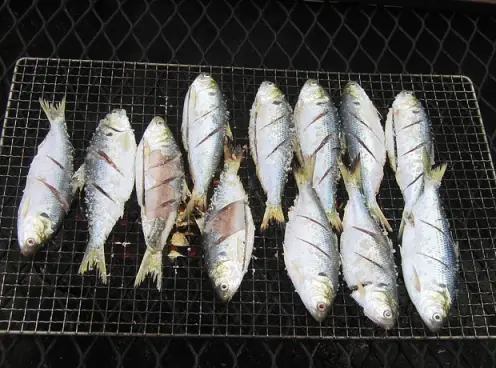 전어구이가을전어가격효능