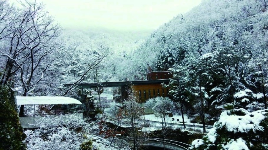 화담숲에 대해서 알려드릴게요