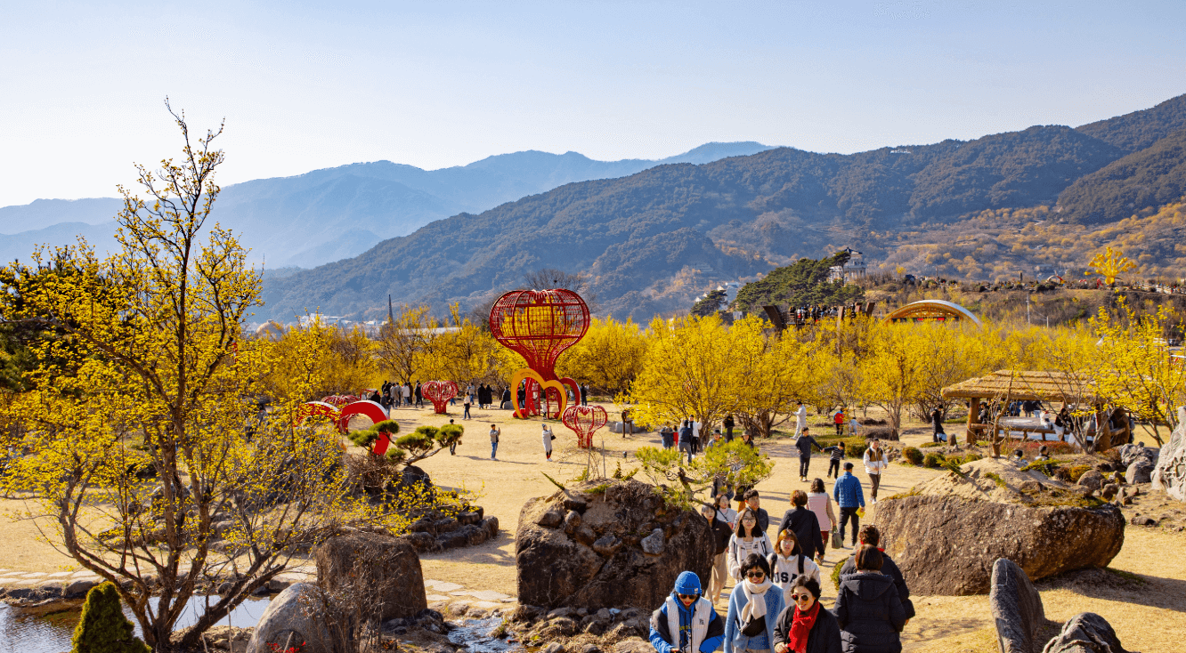 2025 구례 산수유축제 일정·개화시기 총정리