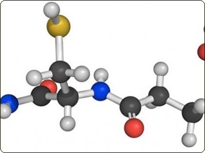 글루타치온 많이든 음식