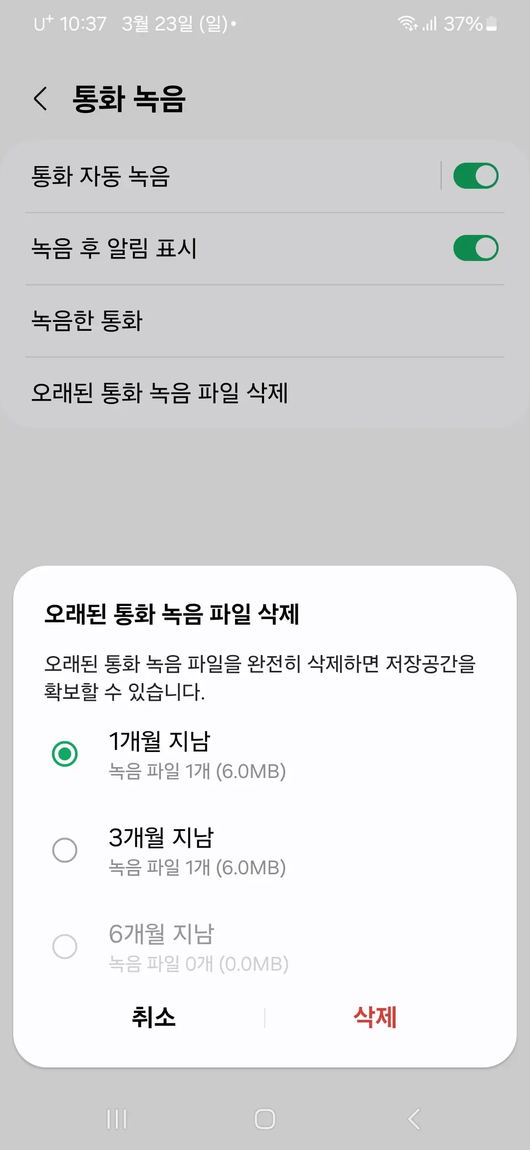 1개월 3개월 6개월 지남